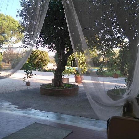 Bed and Breakfast Il Gelso Di Barcuzzi Lonato del Garda Exterior foto