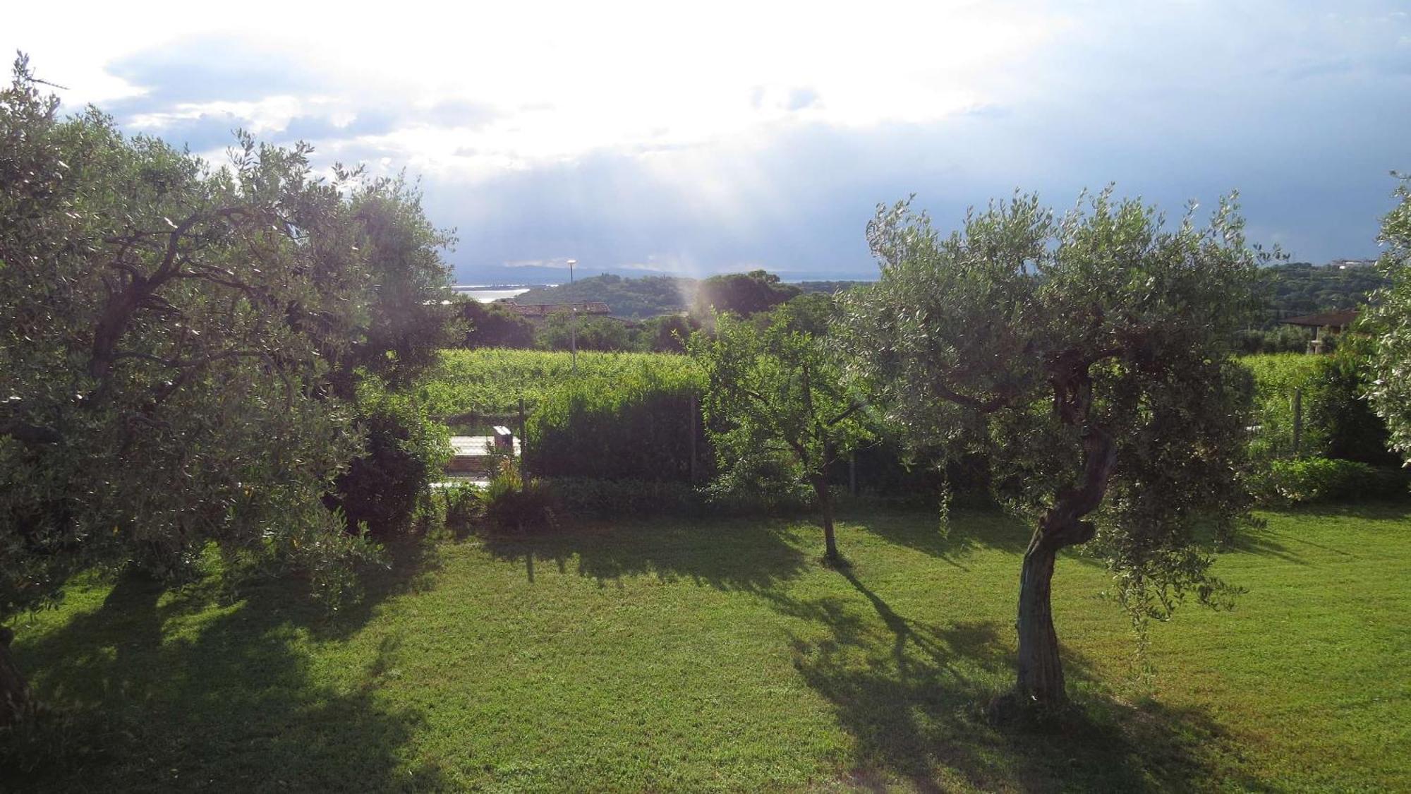 Bed and Breakfast Il Gelso Di Barcuzzi Lonato del Garda Exterior foto