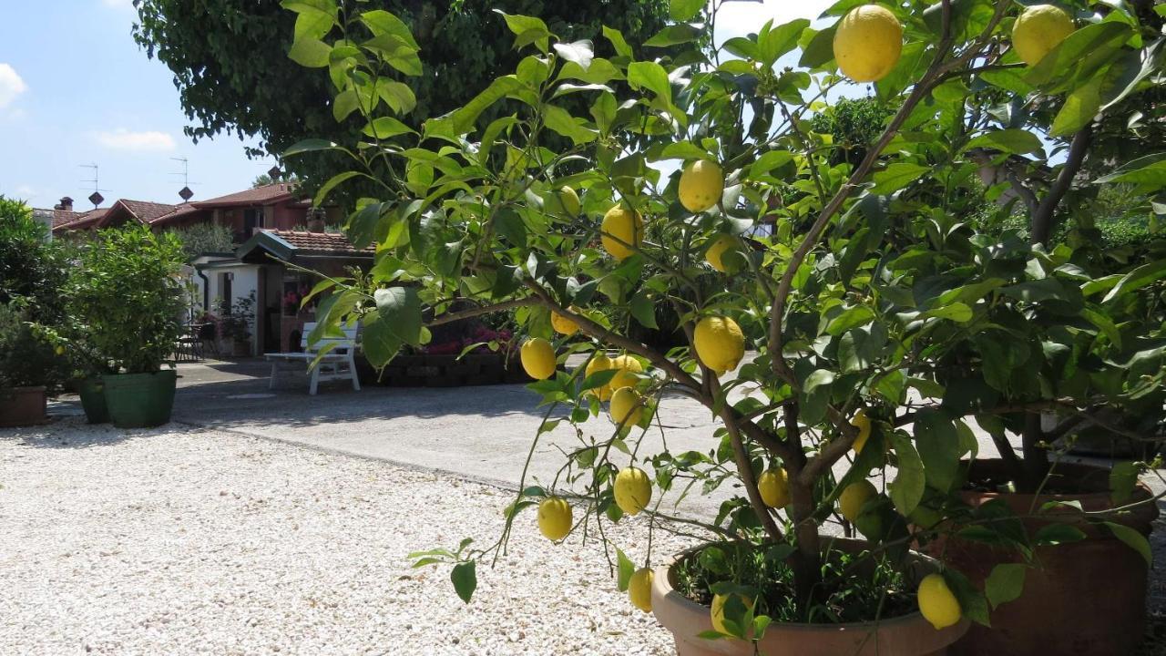 Bed and Breakfast Il Gelso Di Barcuzzi Lonato del Garda Exterior foto