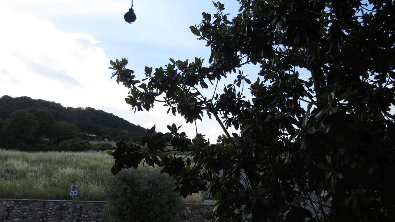 Bed and Breakfast Il Gelso Di Barcuzzi Lonato del Garda Exterior foto