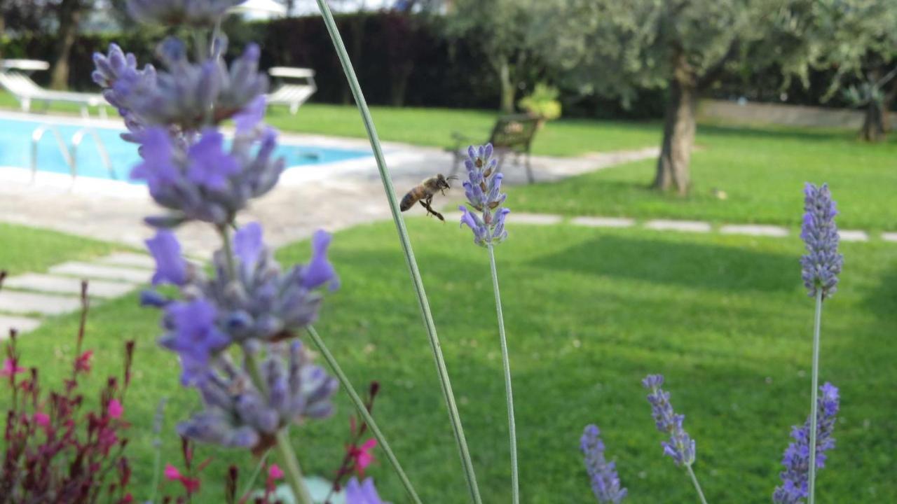 Bed and Breakfast Il Gelso Di Barcuzzi Lonato del Garda Exterior foto