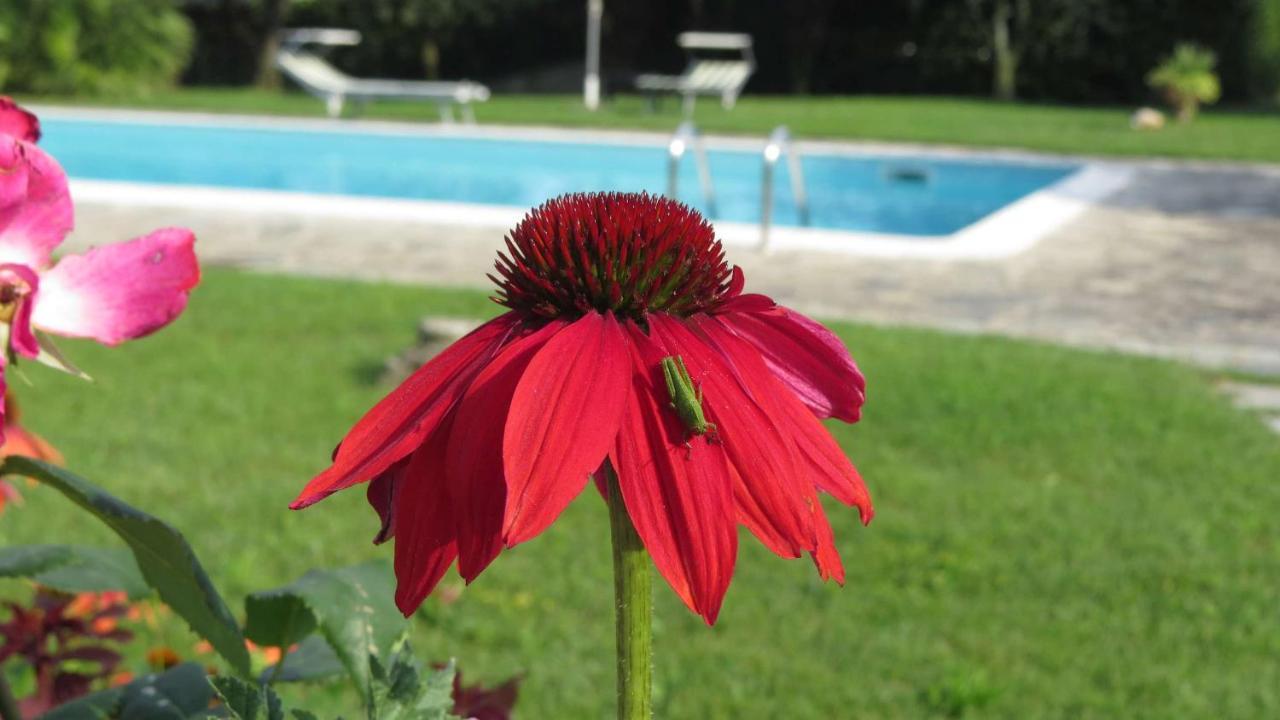 Bed and Breakfast Il Gelso Di Barcuzzi Lonato del Garda Exterior foto